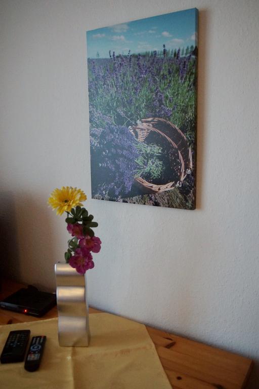 Landpension Bielatal - Raum Oda fotoğraf