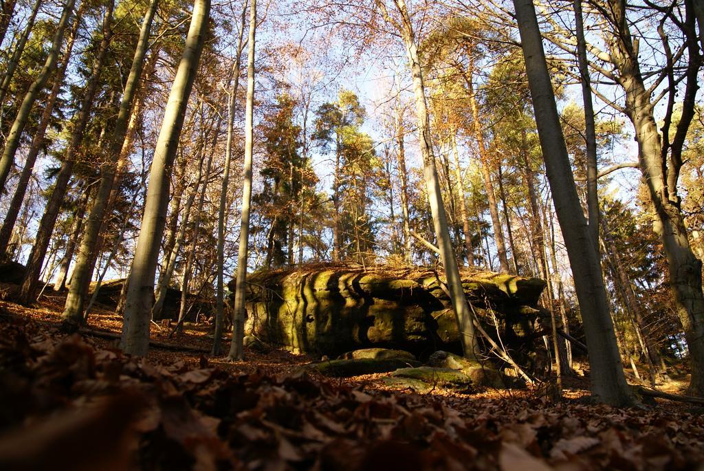 Landpension Bielatal - Raum Dış mekan fotoğraf